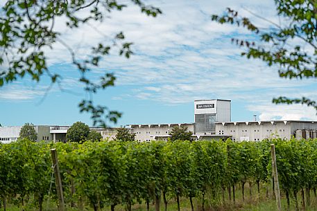 Distilleria Bepi Tosolini