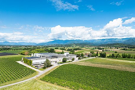 Distilleria Bepi Tosolini