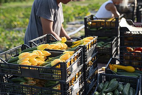 Azienda Agricola La Ferula
