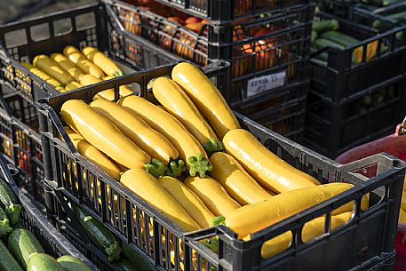 Azienda Agricola La Ferula