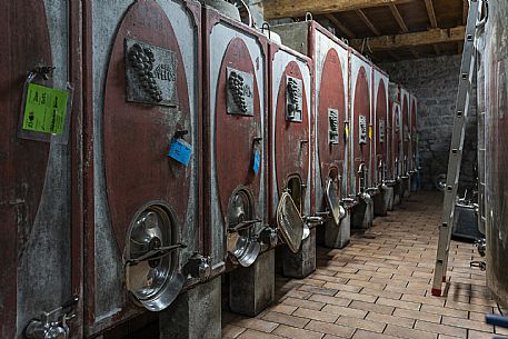 Azienda Agricola La Ferula