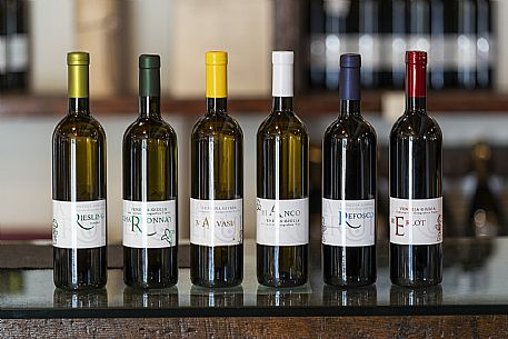 Azienda Agricola La Ferula