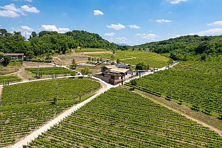 Locanda Alle Vigne - Cormons