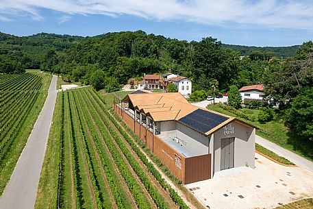 Tenuta della Casa - Cormons(GO)