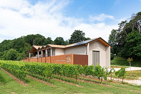 Tenuta della Casa - Cormons(GO)