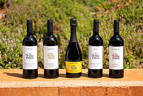 Tenuta della Casa - Cormons(GO)