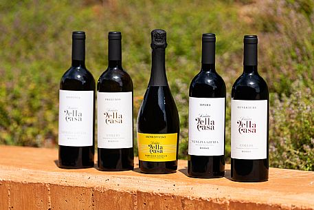 Tenuta della Casa - Cormons(GO)