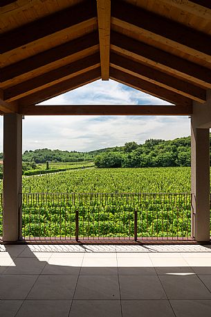 Tenuta della Casa - Cormons(GO)