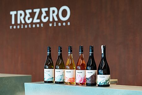 Tenuta TreZero - Valvasone(PN)