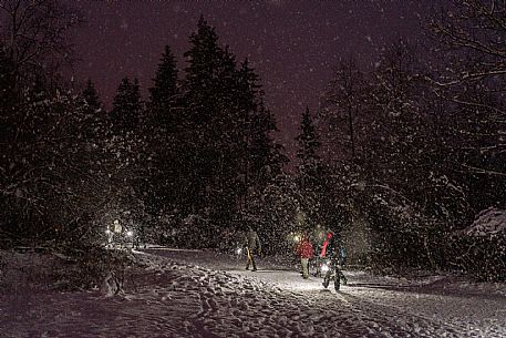 Advent Pur - Valbruna