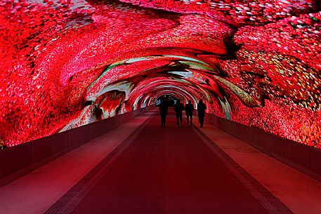 Digital Art Gallery - Data Tunnel  by Refik Anadol - Gorizia