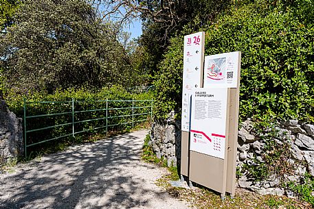 Garden of Miramare Castle