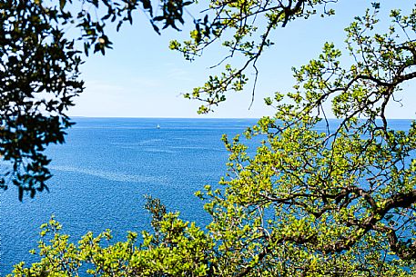 Garden of Miramare Castle