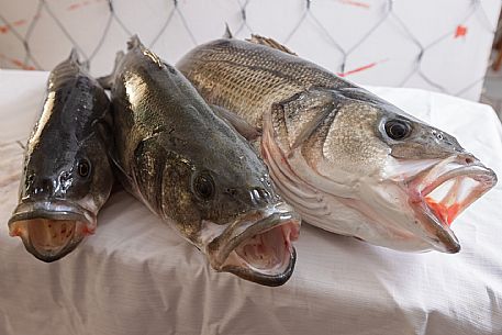 Ristorante Ai Tre Canai - da noi in riviera