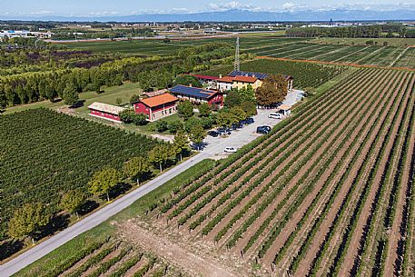 Azienda Vinicola Albafiorita - da noi in riviera