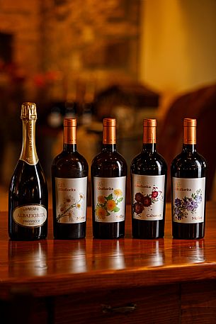 Azienda Vinicola Albafiorita - da noi in riviera