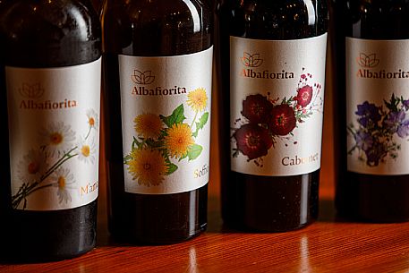 Azienda Vinicola Albafiorita - da noi in riviera