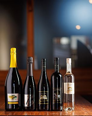 Azienda Vinicola Ballaminut - da noi in riviera