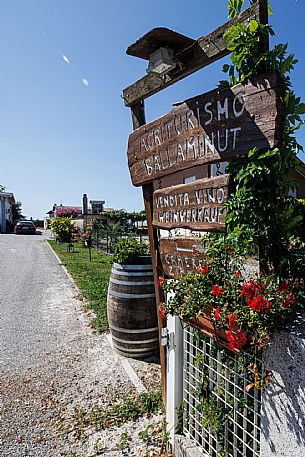 Azienda Vinicola Ballaminut - da noi in riviera