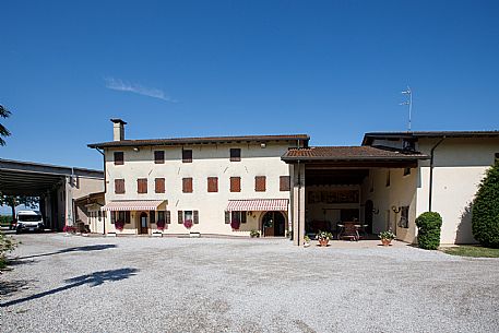Azienda Vinicola Battista II - da noi in riviera