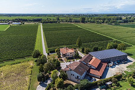Azienda Vinicola Battista II - da noi in riviera