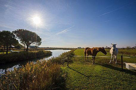 Ca del Lovo - da noi in riviera