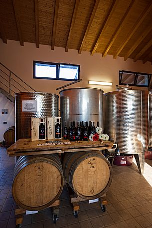 Azienda Vinicola Fausto Ghenda - da noi in riviera Azienda Vinicola Fausto Ghenda - da noi in riviera