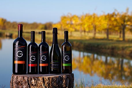 Azienda Vinicola Fausto Ghenda - da noi in riviera Azienda Vinicola Fausto Ghenda - da noi in riviera