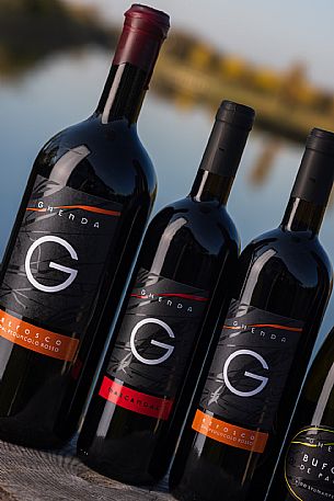 Azienda Vinicola Fausto Ghenda - da noi in riviera Azienda Vinicola Fausto Ghenda - da noi in riviera