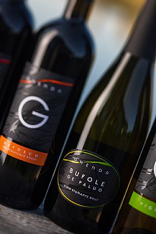 Azienda Vinicola Fausto Ghenda - da noi in riviera Azienda Vinicola Fausto Ghenda - da noi in riviera