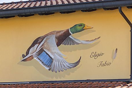 Pordenone