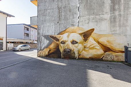 Pordenone