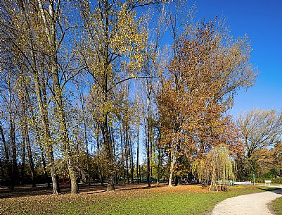 Pordenone
