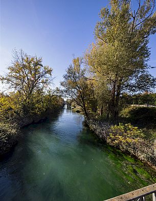 Pordenone