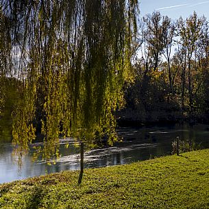 Pordenone