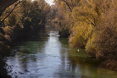 Pordenone