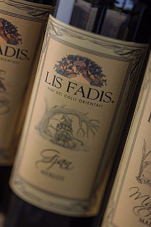 Lis Fadis