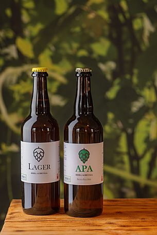 Luppolo Verde
