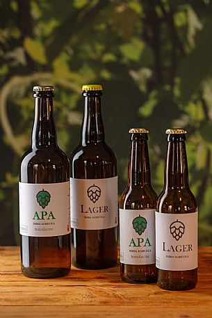 Luppolo Verde