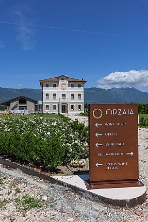 Orzaia