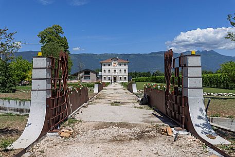 Orzaia