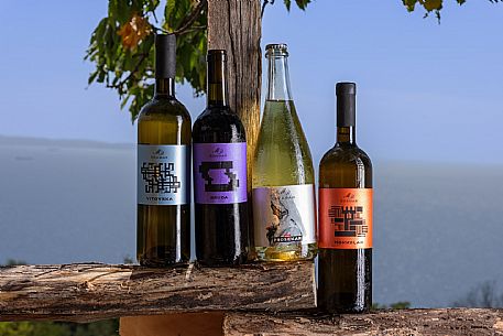 Skabar Wines