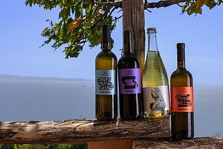 Skabar Wines