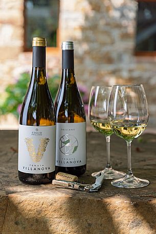Tenuta villanova