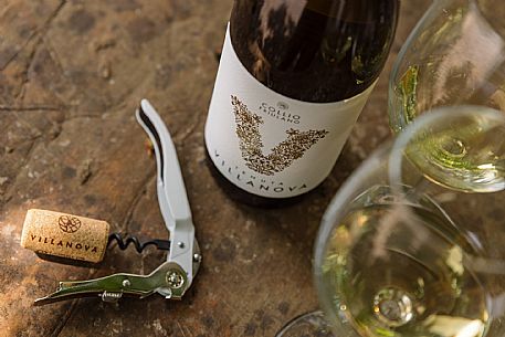 Tenuta villanova
