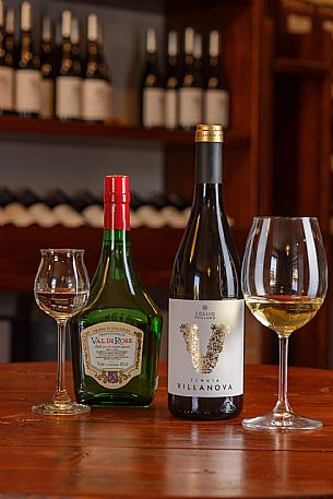 Tenuta villanova