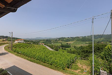 Valleris azienda vinicola