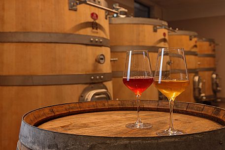 Valleris azienda vinicola