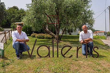 Valleris azienda vinicola