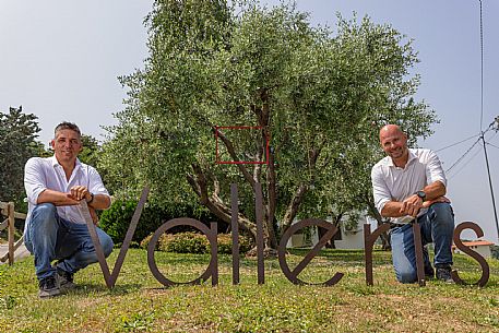 Valleris azienda vinicola